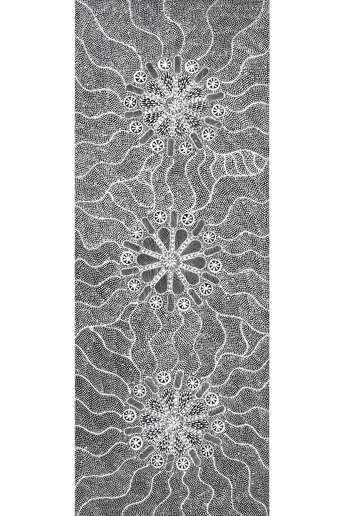 Aboriginal Art by Jocelyn Napanangka Frank, Lukarrara Jukurrpa (Desert Fringe-rush Seed Dreaming), 122x46cm - ART ARK®