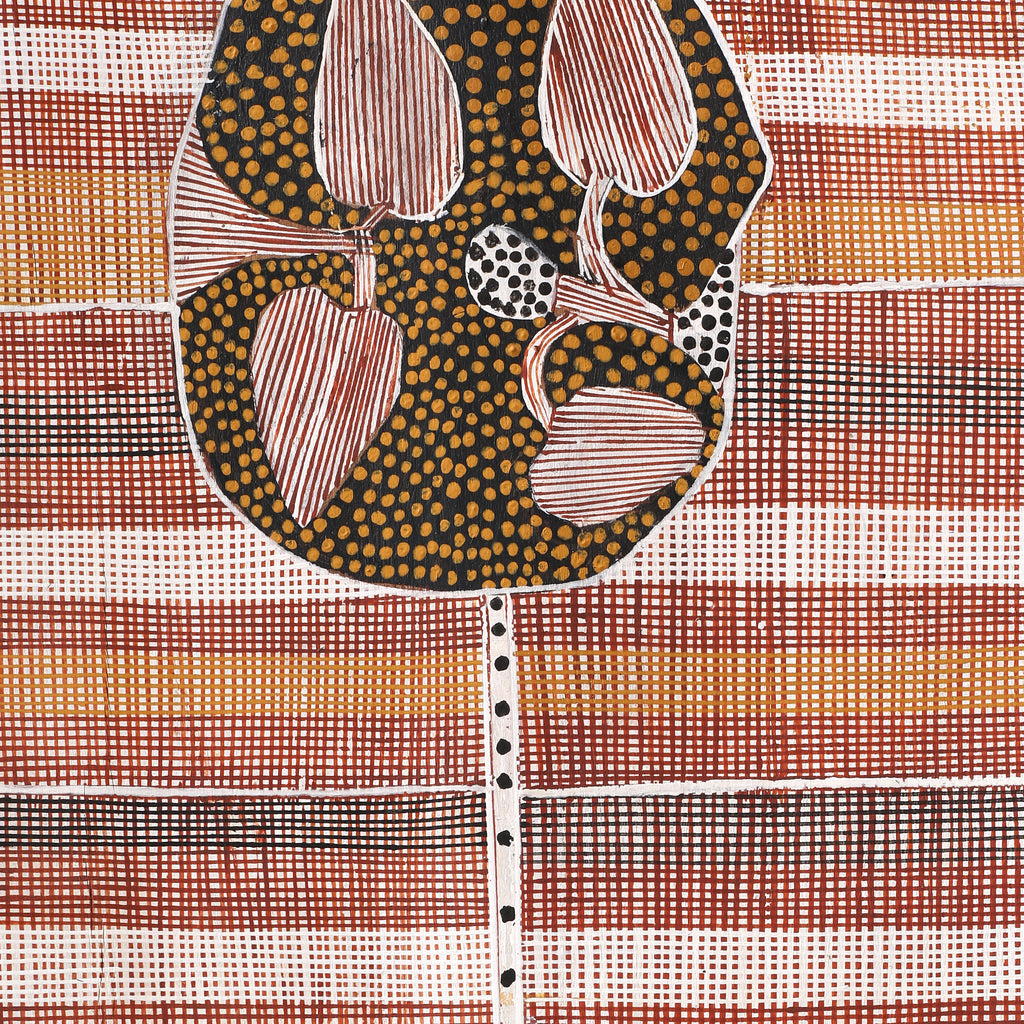 Aboriginal Art by Paul Nabulumo Namarinjmak, Wayuk (Water lily), 102x40cm Bark - ART ARK®