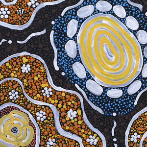 Aboriginal Art by Shirley Napanangka Martin, Puturlu Jukurrpa (Mt Theo Dreaming), 30x30cm - ART ARK®