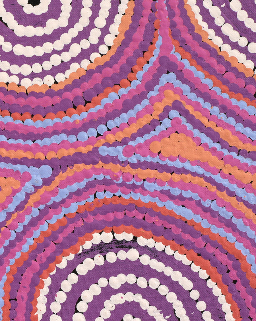 Aboriginal Artwork by Alice Nampijinpa Michaels, Lappi Lappi Dreaming, 76x61cm