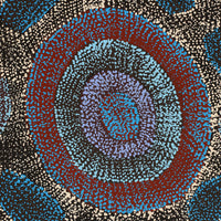 Aboriginal Artwork by Agnes Nampijinpa Brown, Ngapa Jukurrpa (Water Dreaming) - Mikanji, 122x61cm