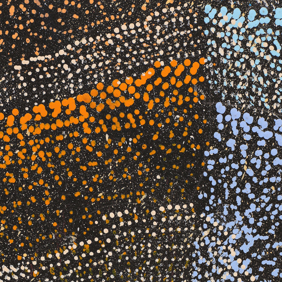 Aboriginal Artwork by Agnes Nampijinpa Brown, Ngapa Jukurrpa (Water Dreaming) - Mikanji, 91x46cm