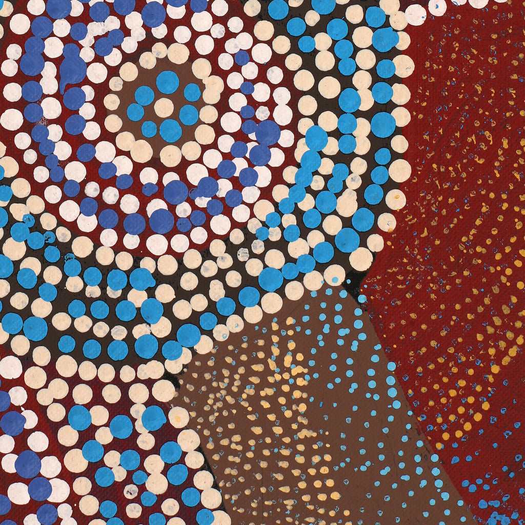 Aboriginal Artwork by Agnes Nampijinpa Brown, Ngapa Jukurrpa (Water Dreaming) - Mikanji, 76x61cm