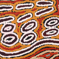 Aboriginal Art by Alice Nampijinpa Michaels, Lappi Lappi Jukurrpa (Lappi Lappi Dreaming), 30x30cm - ART ARK®