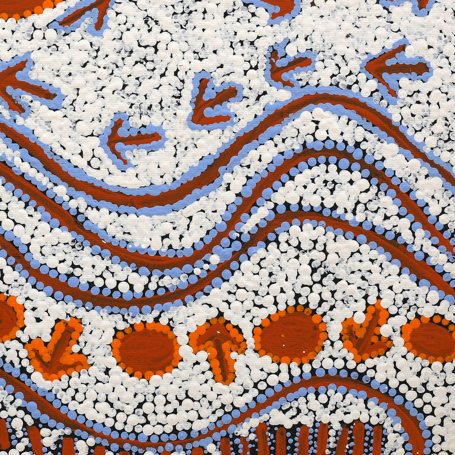Aboriginal Artwork by Alma Nangala Robertson, Mina Mina Jukurrpa (Mina Mina Dreaming) - Janyinki, 40x40cm
