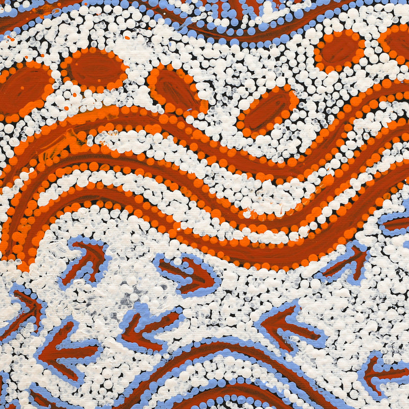 Aboriginal Artwork by Alma Nangala Robertson, Mina Mina Jukurrpa (Mina Mina Dreaming) - Janyinki, 40x40cm
