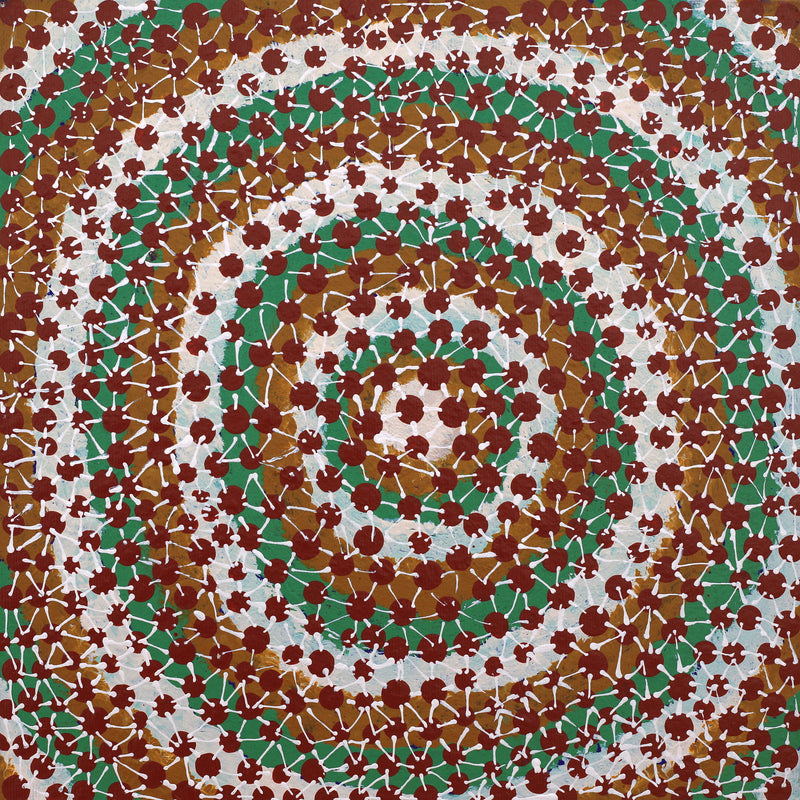 Aboriginal Artwork by Andrea Nungarrayi Wilson, Lukarrara Jukurrpa (Desert Fringe-rush Seed Dreaming), 30x30cm