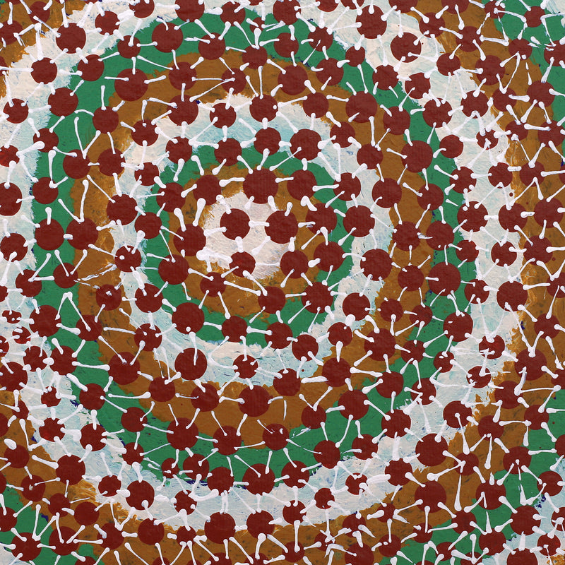 Aboriginal Artwork by Andrea Nungarrayi Wilson, Lukarrara Jukurrpa (Desert Fringe-rush Seed Dreaming), 30x30cm