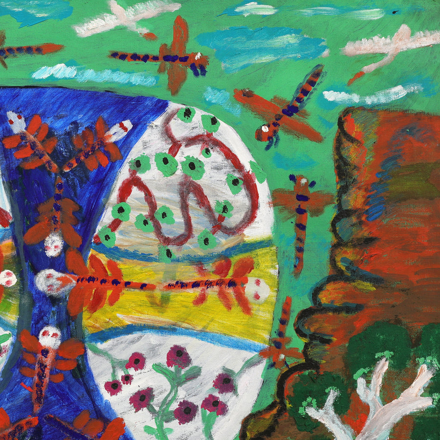 Aboriginal Artwork by Andrew Robertson, Dragonflies and Birds, 80x60cm