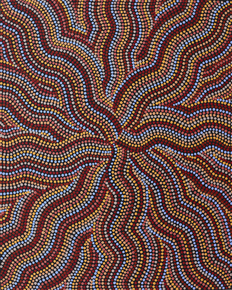 Aboriginal Artwork by Angela Nangala Robertson, Watiya-warnu Jukurrpa (Seed Dreaming), 50x40cm