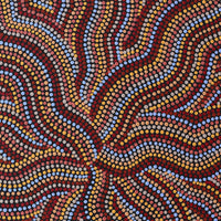 Aboriginal Artwork by Angela Nangala Robertson, Watiya-warnu Jukurrpa (Seed Dreaming), 50x40cm