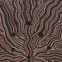 Aboriginal Artwork by Angela Nangala Robertson, Watiya-warnu Jukurrpa (Seed Dreaming), 76x46cm
