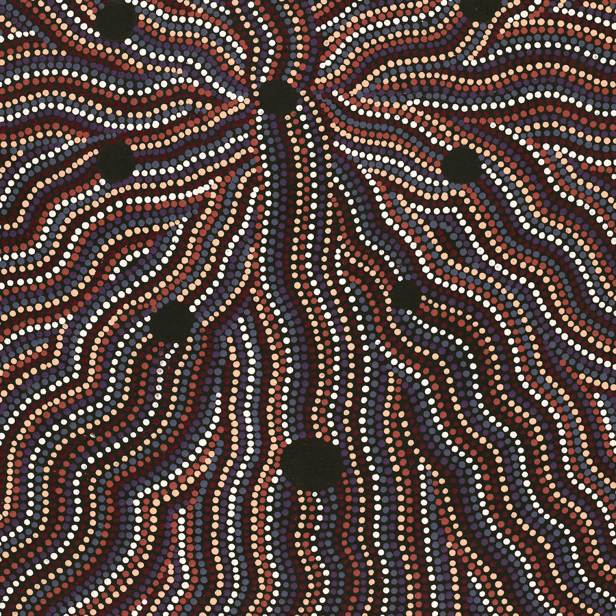 Aboriginal Artwork by Angela Nangala Robertson, Watiya-warnu Jukurrpa (Seed Dreaming), 76x46cm