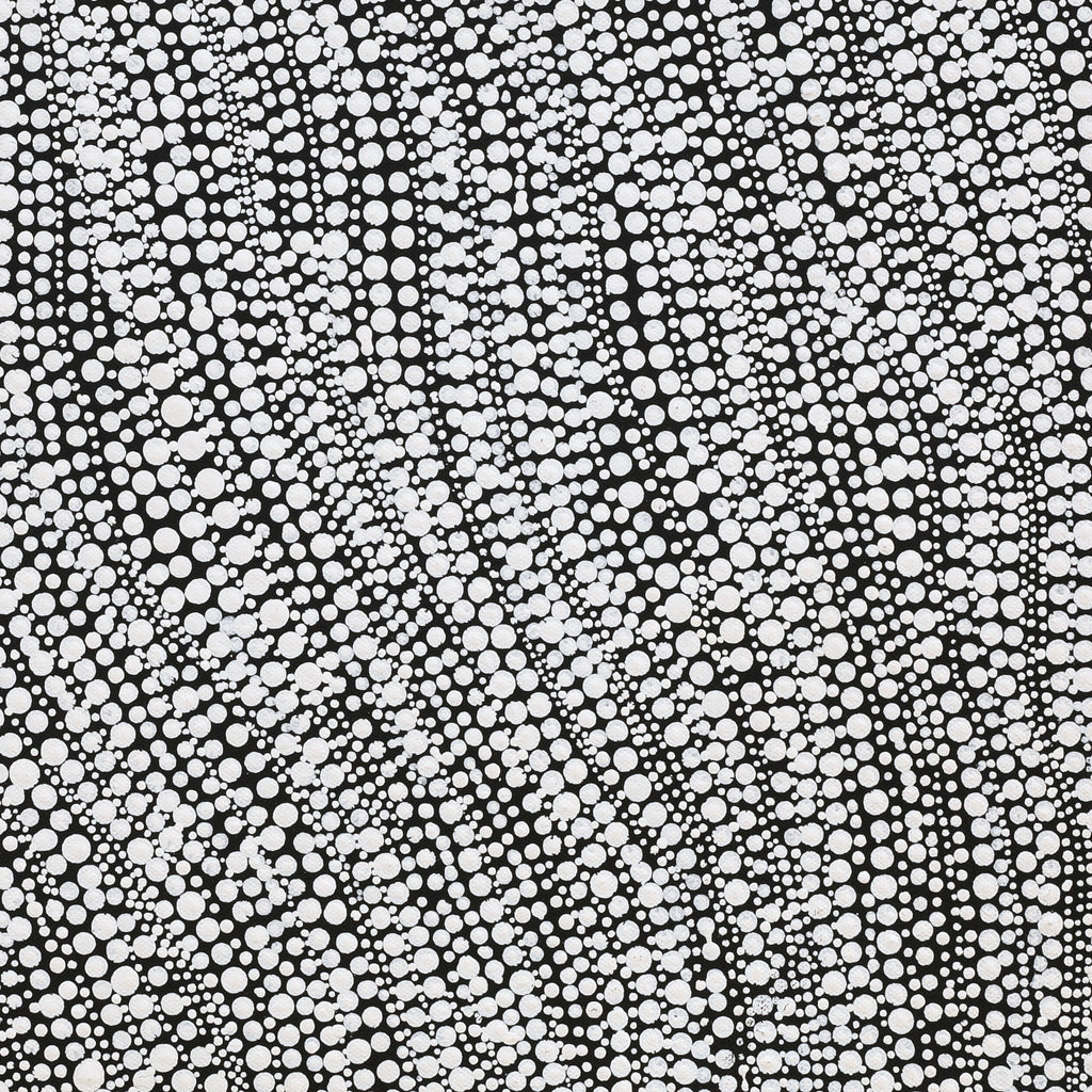 Aboriginal Artwork by Angelina Napangardi Wilson, Mina Mina Dreaming, 46x46cm