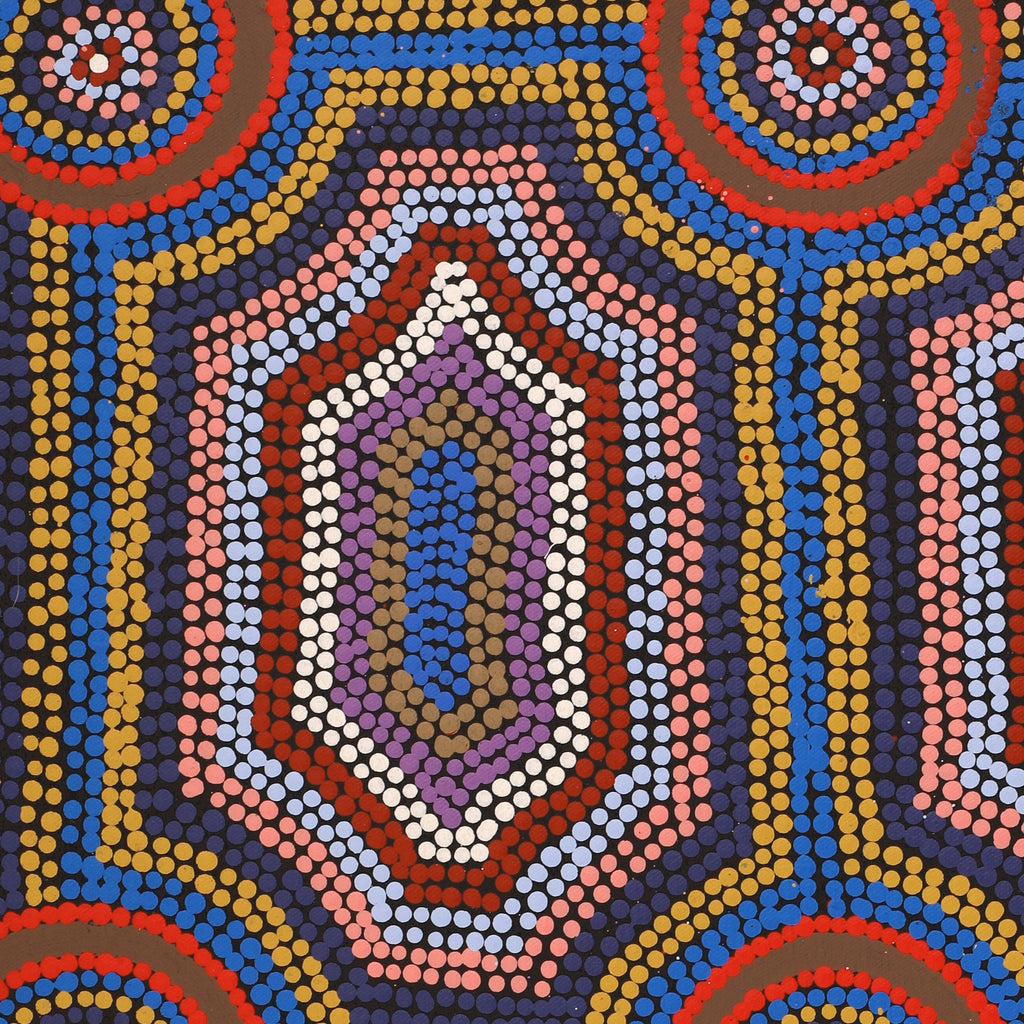 Aboriginal Artwork by Anita Nakamarra Gibson, Ngapa Jukurrpa (Water Dreaming) - Puyurru, 61x46cm