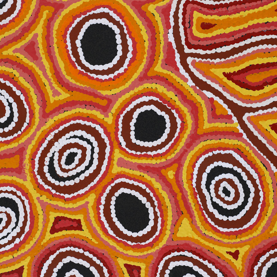 Aboriginal Artwork by Antonia Napangardi Michaels, Lappi Lappi Jukurrpa, 122x46cm
