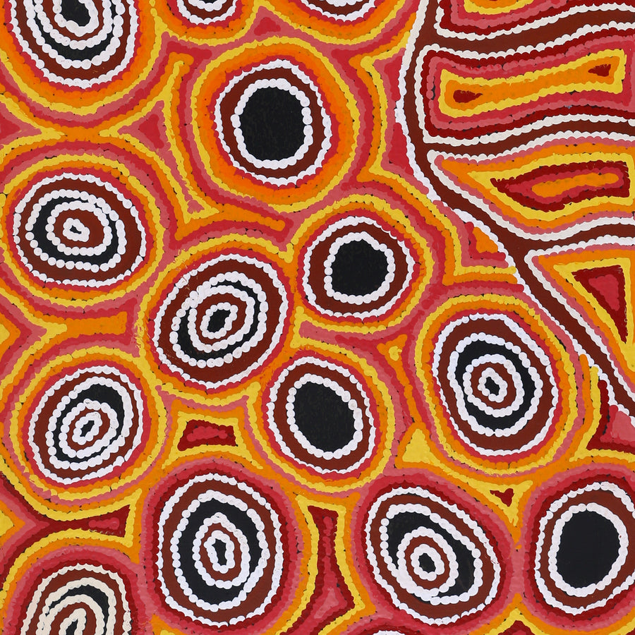 Aboriginal Artwork by Antonia Napangardi Michaels, Lappi Lappi Jukurrpa, 122x46cm