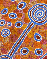 Aboriginal Artwork by Antonia Napangardi Michaels, Lappi Lappi Jukurrpa, 122x61cm