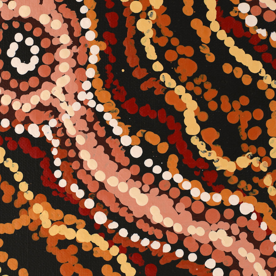 Aboriginal Artwork by Audrey Brumby, Waru Pulka, 152x122cm