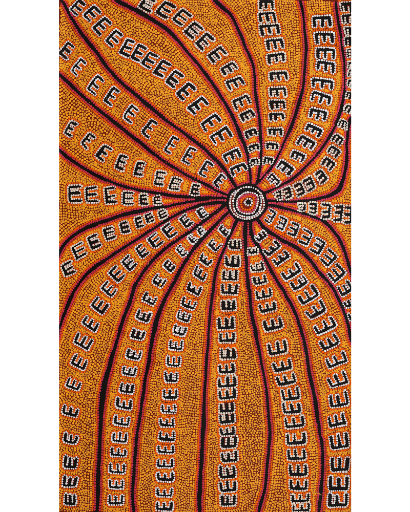 Aboriginal Artwork by Azaria Nampijinpa Robertson, Janganpa Jukurrpa (Brush-tail Possum Dreaming) - Mawurrji, 107x61cm