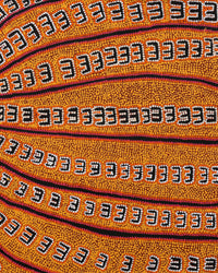 Azaria Nampijinpa Robertson, Janganpa Jukurrpa (Brush-tail Possum Dreaming) - Mawurrji, 107x61cm