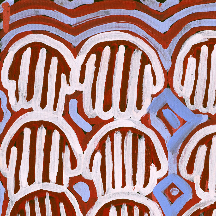 Aboriginal Artwork by Azaria Nampijinpa Robertson, Majardi Jukurrpa (Hairstring Belt/Skirt Dreaming) - Mina Mina, 61x30cm