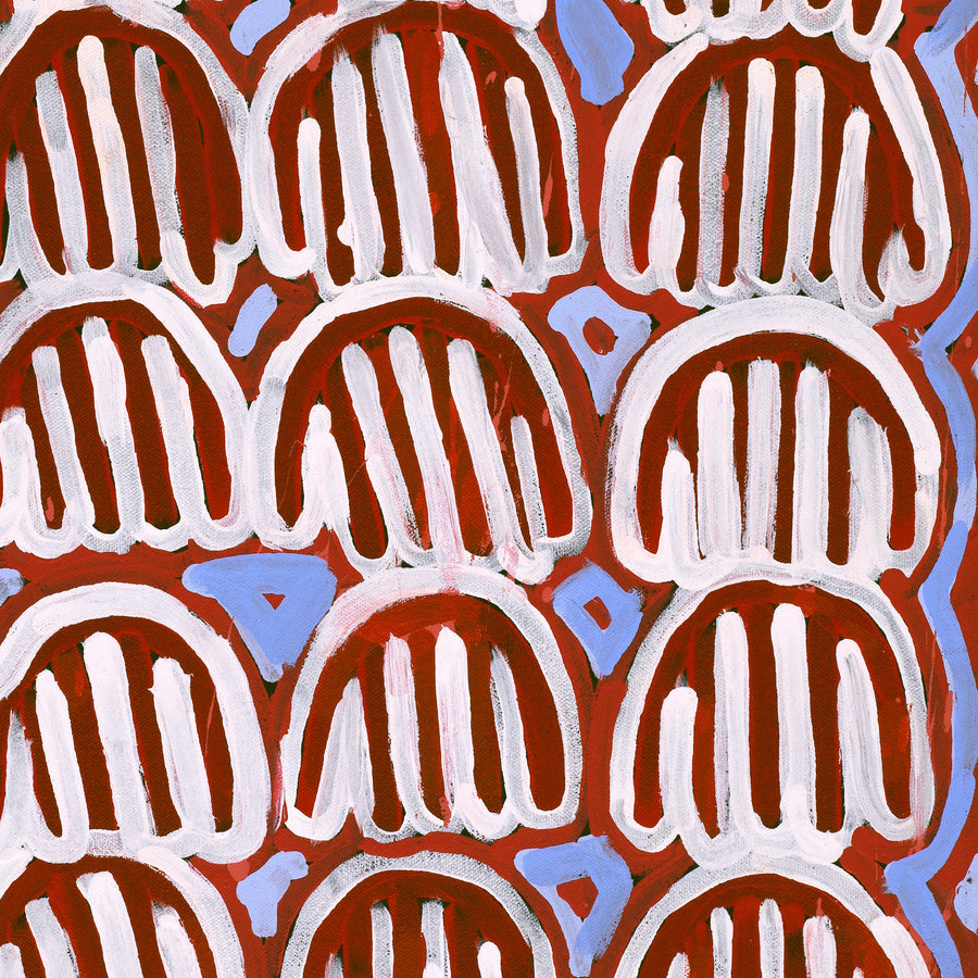 Aboriginal Artwork by Azaria Nampijinpa Robertson, Majardi Jukurrpa (Hairstring Belt/Skirt Dreaming) - Mina Mina, 61x30cm