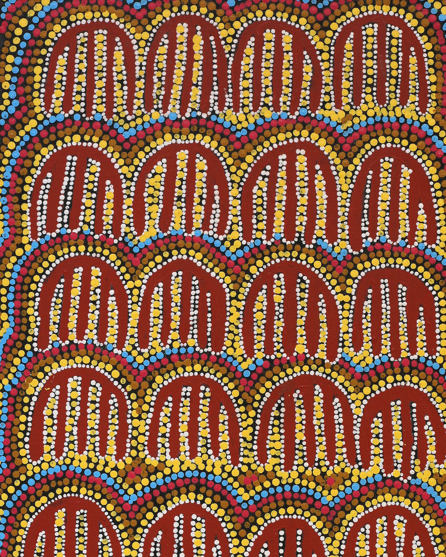 Aboriginal Artwork by Azaria Nampijinpa Robertson, Majardi Jukurrpa (Hairstring Belt/Skirt Dreaming) - Mina Mina, 91x30cm