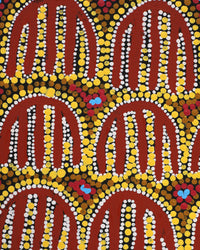 Aboriginal Artwork by Azaria Nampijinpa Robertson, Majardi Jukurrpa (Hairstring Belt/Skirt Dreaming) - Mina Mina, 91x30cm