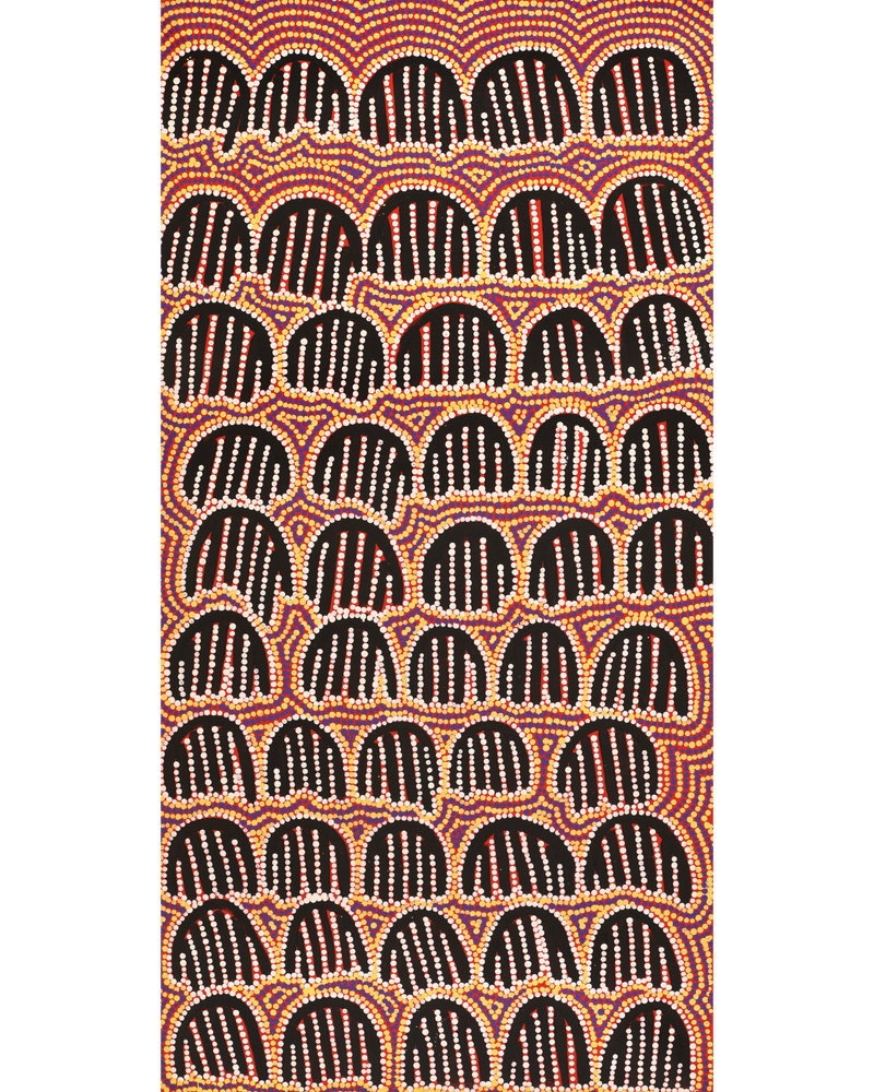 Aboriginal Artwork by Azaria Nampijinpa Robertson, Majardi Jukurrpa (Hairstring Belt/Skirt Dreaming) - Mina Mina, 91x46cm