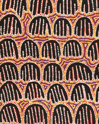 Aboriginal Artwork by Azaria Nampijinpa Robertson, Majardi Jukurrpa (Hairstring Belt/Skirt Dreaming) - Mina Mina, 91x46cm