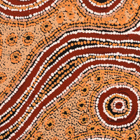 Aboriginal Art by Barbara Baker Milpati, Ngapari Tjukurpa, 86x76cm - ART ARK®