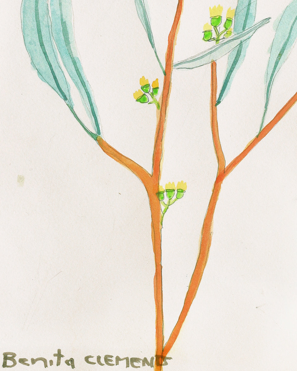 Aboriginal Artwork by Benita Clements, Wipa (Red Gum), 36x26cm