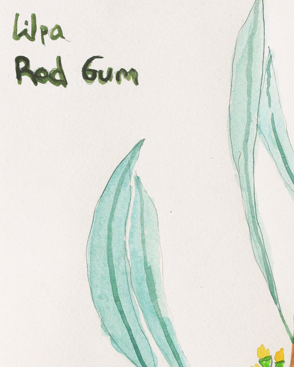 Aboriginal Artwork by Benita Clements, Wipa (Red Gum), 36x26cm