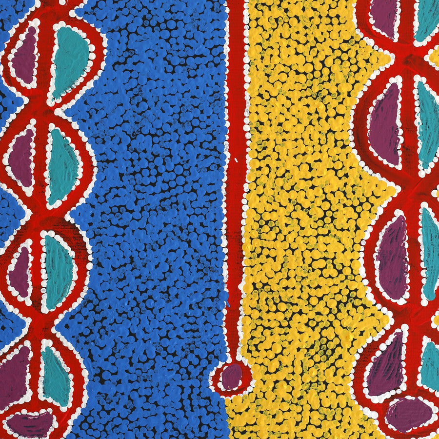 Aboriginal Artwork by Bernard Japanangka Watson, Pamapardu Jukurrpa (Flying Ant Dreaming) - Warntungurru, 50x40cm
