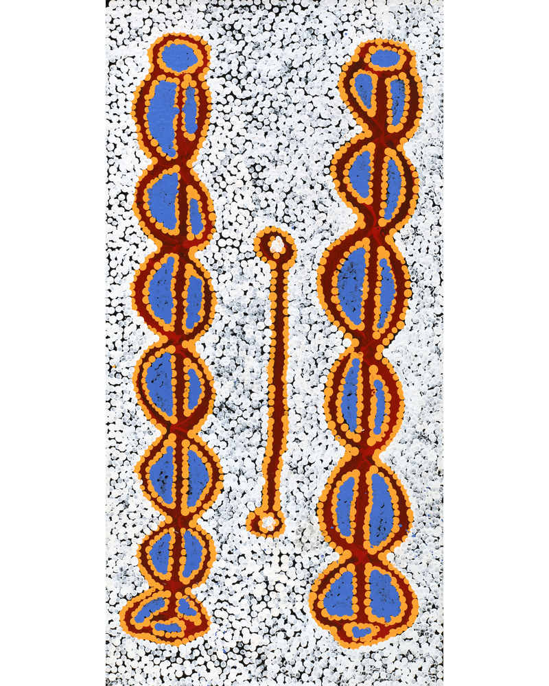 Aboriginal Artwork by Bernard Japanangka Watson, Pamapardu Jukurrpa - Warntungurru, 61x30cm
