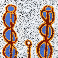 Aboriginal Artwork by Bernard Japanangka Watson, Pamapardu Jukurrpa - Warntungurru, 61x30cm