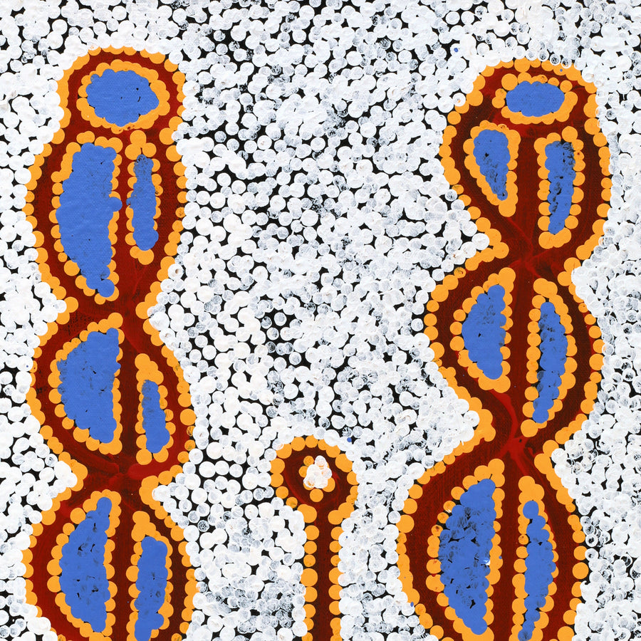 Aboriginal Artwork by Bernard Japanangka Watson, Pamapardu Jukurrpa - Warntungurru, 61x30cm