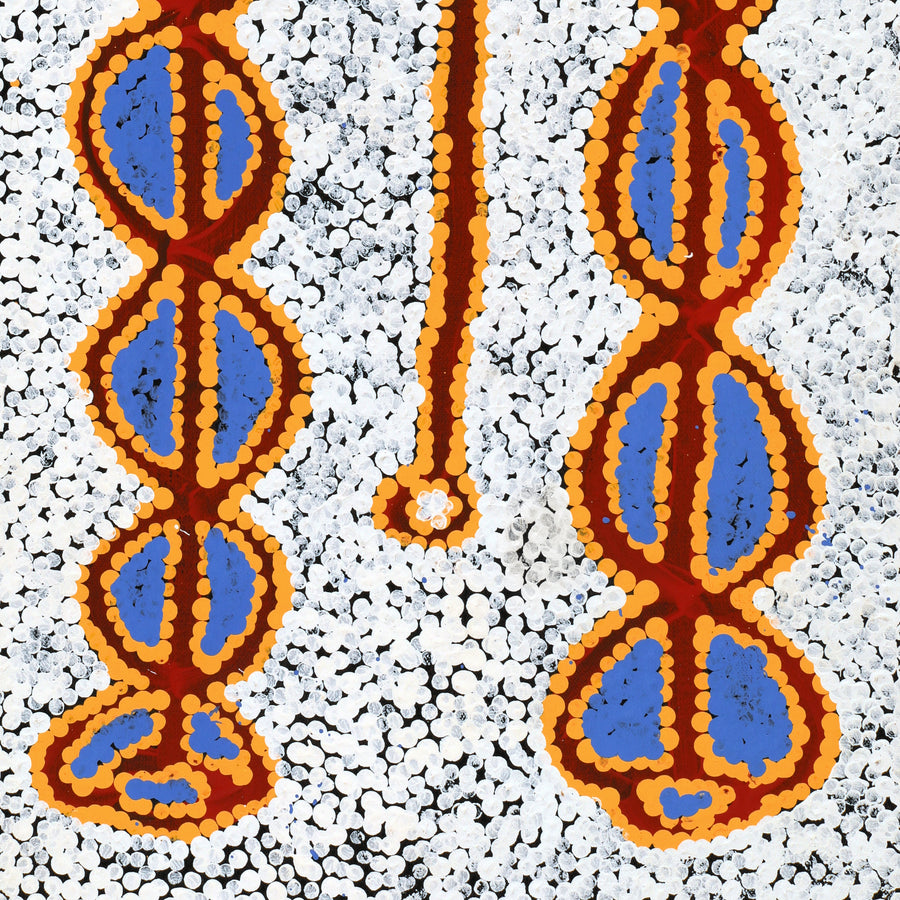 Aboriginal Artwork by Bernard Japanangka Watson, Pamapardu Jukurrpa - Warntungurru, 61x30cm