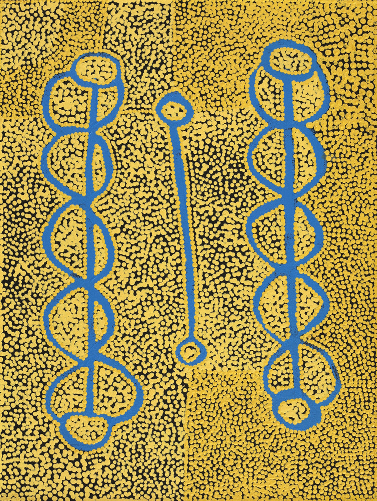Aboriginal Artwork by Bernard Japanangka Watson, Pamapardu Jukurrpa - Warntungurru, 61x46cm