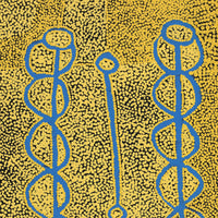 Aboriginal Artwork by Bernard Japanangka Watson, Pamapardu Jukurrpa - Warntungurru, 61x46cm