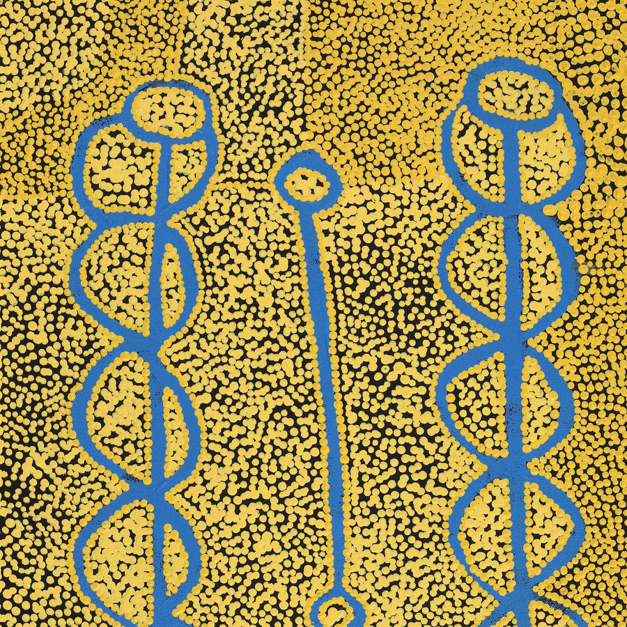 Aboriginal Artwork by Bernard Japanangka Watson, Pamapardu Jukurrpa - Warntungurru, 61x46cm