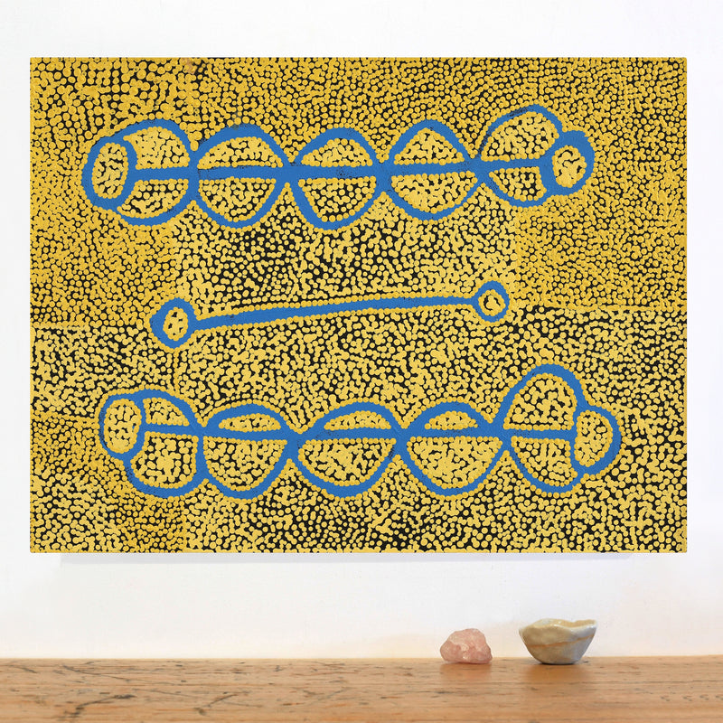 Aboriginal Artwork by Bernard Japanangka Watson, Pamapardu Jukurrpa - Warntungurru, 61x46cm