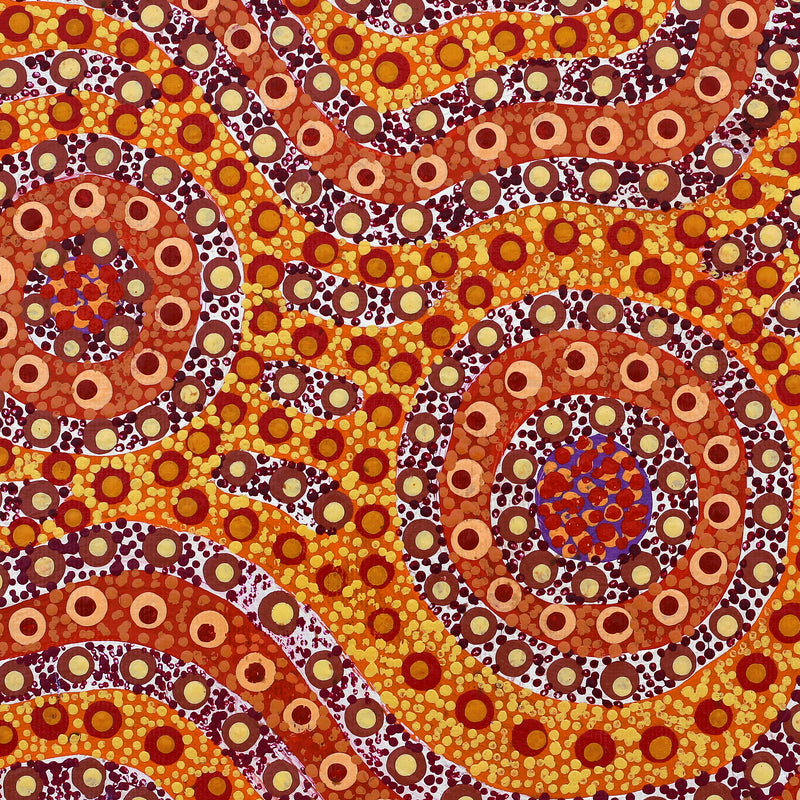 Aboriginal Artwork by Brenda Punytjina Armstrong, Kaliny-kalinypa / Ultukunpa Jukurrpa - Honey Grevillea Dreaming), 30x30cm