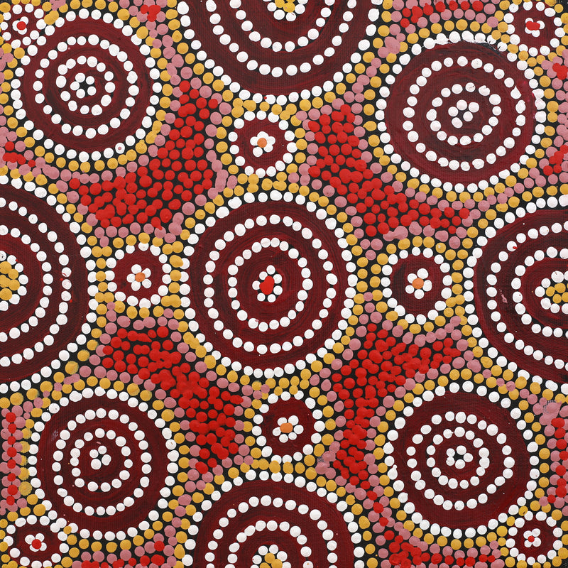 Aboriginal Artwork by Britney Nangala White, Watiya-warnu Jukurrpa (Seed Dreaming), 30x30cm