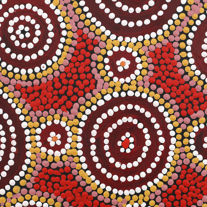 Aboriginal Artwork by Britney Nangala White, Watiya-warnu Jukurrpa (Seed Dreaming), 30x30cm