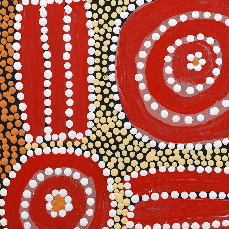 Aboriginal Artwork by Britney Nangala White, Watiya-warnu Jukurrpa (Seed Dreaming), 30x30cm