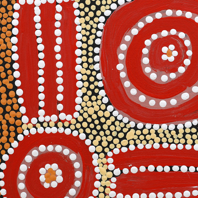 Aboriginal Artwork by Britney Nangala White, Watiya-warnu Jukurrpa (Seed Dreaming), 30x30cm