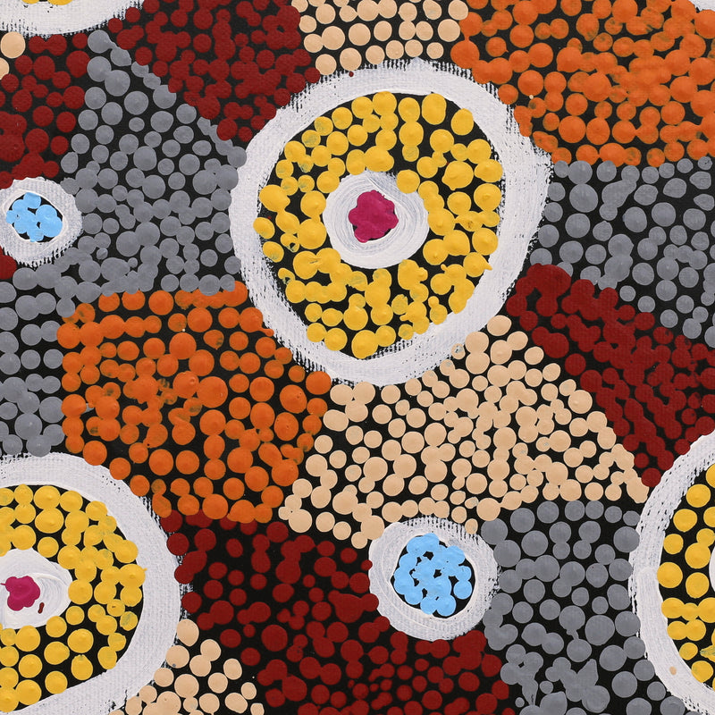 Aboriginal Artwork by Britney Nangala White, Watiya-warnu Jukurrpa (Seed Dreaming), 30x30cm