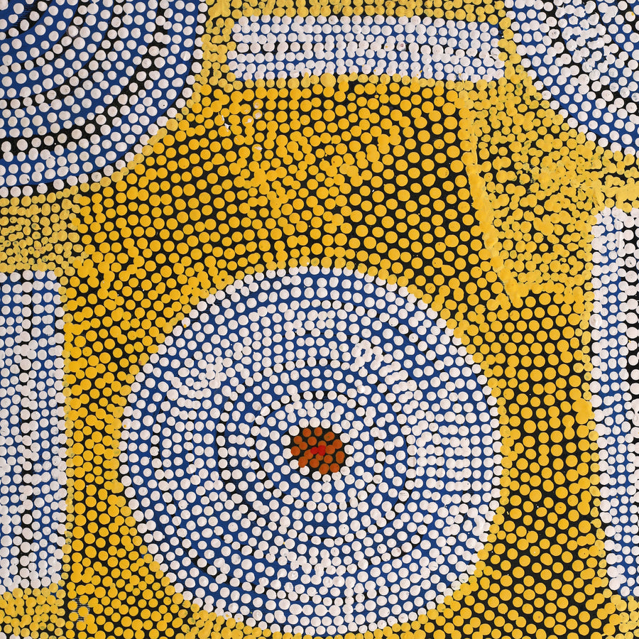 Aboriginal Artwork by Britney Nangala White, Watiya-warnu Jukurrpa (Seed Dreaming), 50x40cm